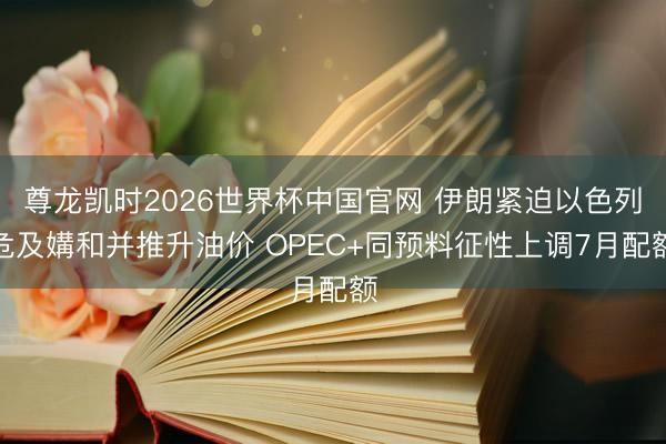 尊龙凯时2026世界杯中国官网 伊朗紧迫以色列危及媾和并推升油价 OPEC+同预料征性上调7月配额