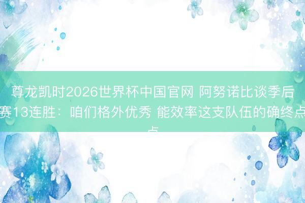 尊龙凯时2026世界杯中国官网 阿努诺比谈季后赛13连胜：咱们格外优秀 能效率这支队伍的确终点