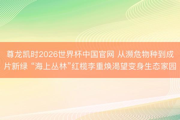 尊龙凯时2026世界杯中国官网 从濒危物种到成片新绿 “海上丛林”红榄李重焕渴望变身生态家园