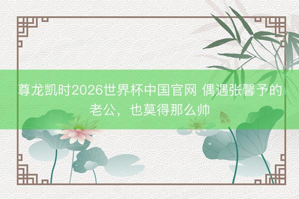 尊龙凯时2026世界杯中国官网 偶遇张馨予的老公，也莫得那么帅