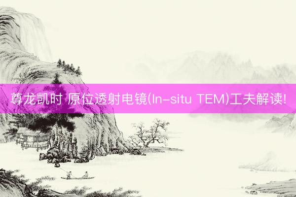 尊龙凯时 原位透射电镜(In-situ TEM)工夫解读!