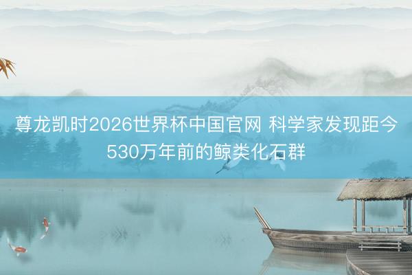 尊龙凯时2026世界杯中国官网 科学家发现距今530万年前的鲸类化石群
