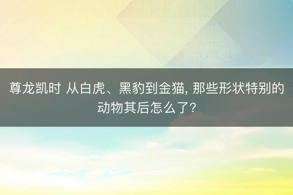 尊龙凯时 从白虎、黑豹到金猫， 那些形状特别的动物其后怎么了?