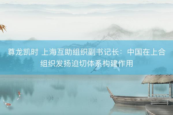 尊龙凯时 上海互助组织副书记长：中国在上合组织发扬迫切体系构建作用