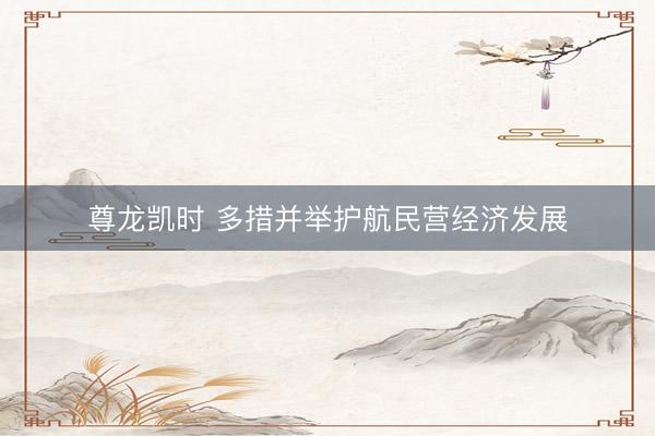 尊龙凯时 多措并举护航民营经济发展