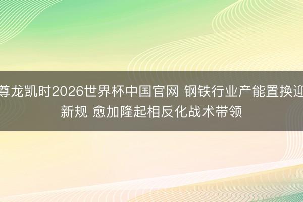 尊龙凯时2026世界杯中国官网 钢铁行业产能置换迎新规 愈加隆起相反化战术带领