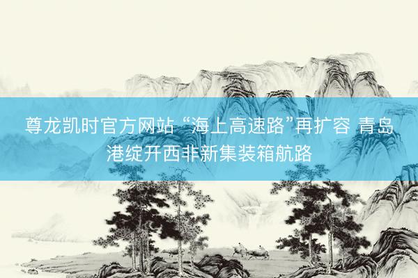 尊龙凯时官方网站 “海上高速路”再扩容 青岛港绽开西非新集装箱航路