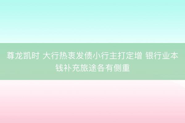 尊龙凯时 大行热衷发债小行主打定增 银行业本钱补充旅途各有侧重