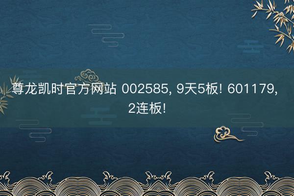 尊龙凯时官方网站 002585， 9天5板! 601179， 2连板!