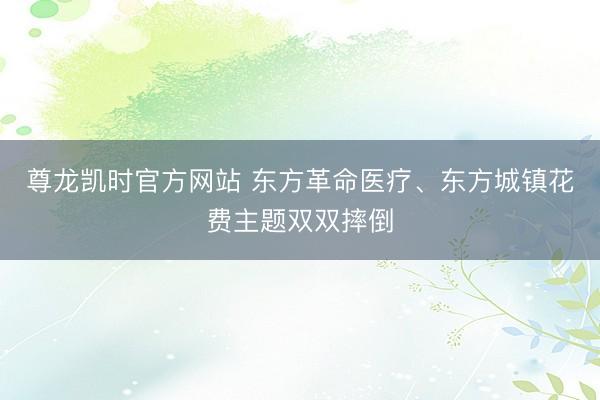 尊龙凯时官方网站 东方革命医疗、东方城镇花费主题双双摔倒