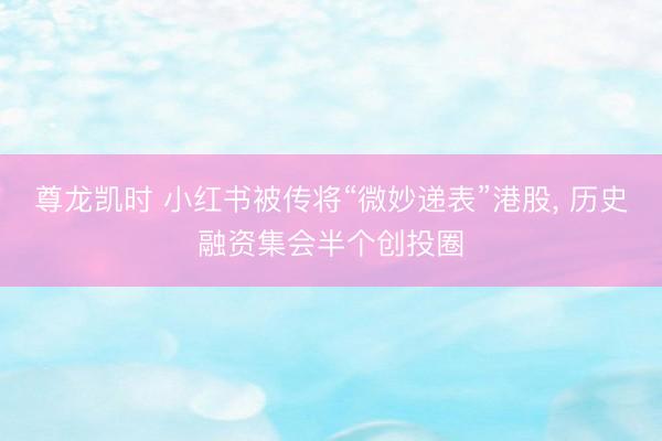 尊龙凯时 小红书被传将“微妙递表”港股， 历史融资集会半个创投圈