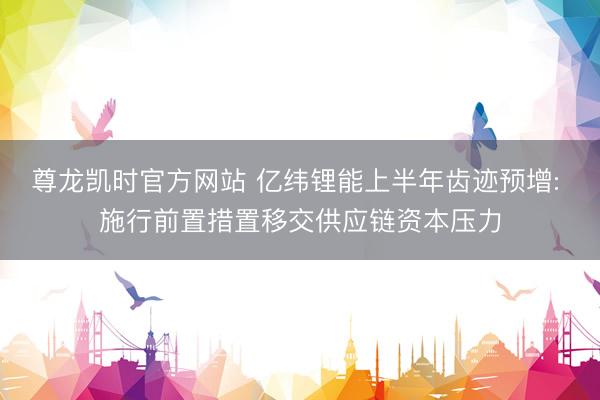 尊龙凯时官方网站 亿纬锂能上半年齿迹预增: 施行前置措置移交供应链资本压力