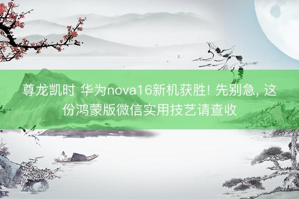 尊龙凯时 华为nova16新机获胜! 先别急， 这份鸿蒙版微信实用技艺请查收